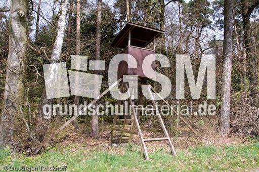 Hochstände (73 von 154).jpg